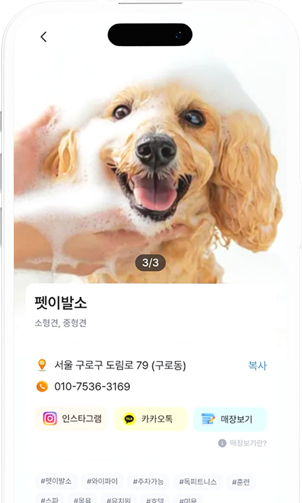 펫이발소 어플 메인 이미지